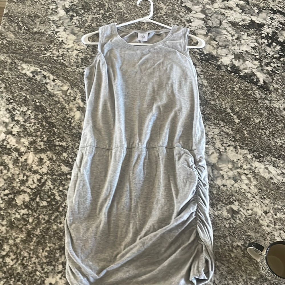 CAbi Dress retail $105